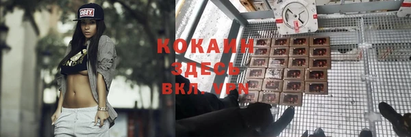дурь Волосово