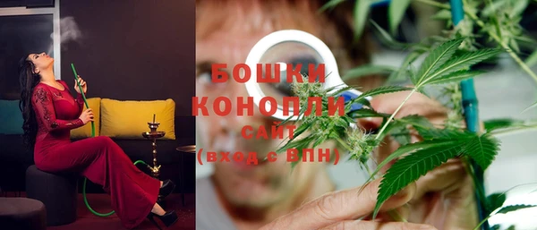 дурь Вяземский