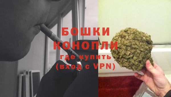дурь Вяземский