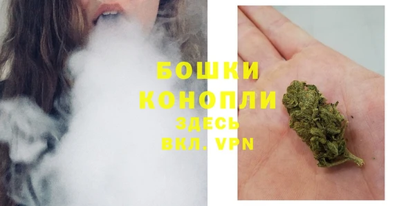ГАЛЛЮЦИНОГЕННЫЕ ГРИБЫ Вязьма