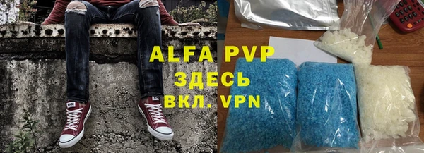ГАЛЛЮЦИНОГЕННЫЕ ГРИБЫ Вязьма