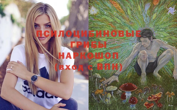 дурь Вяземский