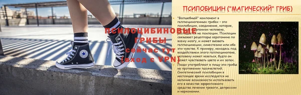 дурь Вяземский
