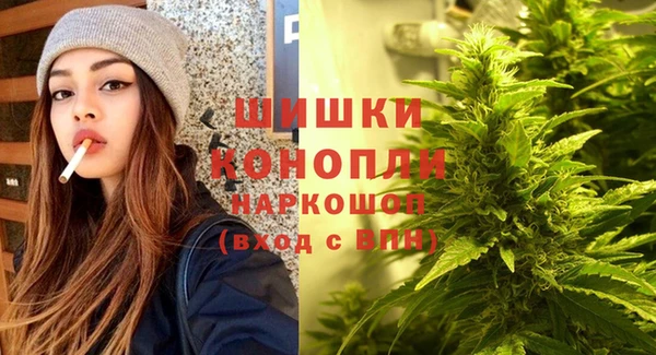 spice Корсаков