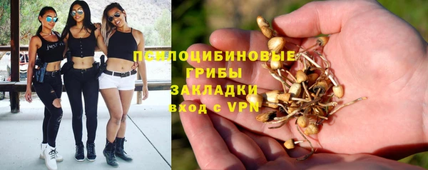 прущие крисы Волоколамск