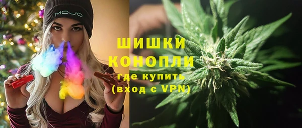 прущий лед Костерёво