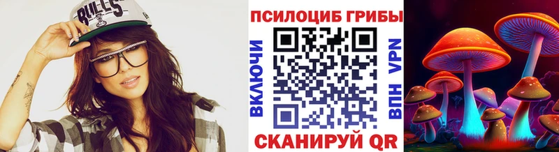 Галлюциногенные грибы мицелий  кракен онион  Новая Ладога 